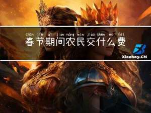 春节期间农民交什么费用