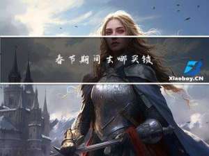 春节期间去哪买锁