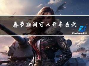 春节期间可以开车去武汉吗