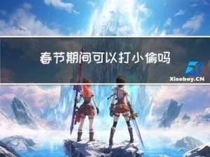 春节期间可以打小偷吗视频