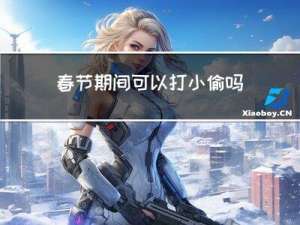 春节期间可以打小偷吗