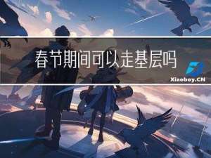 春节期间可以走基层吗