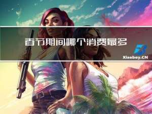 春节期间哪个消费最多