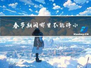 春节期间哪里不能停小轿车