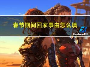 春节期间回家事由怎么填
