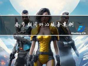 春节期间好的服务案例