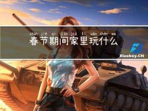 春节期间家里玩什么