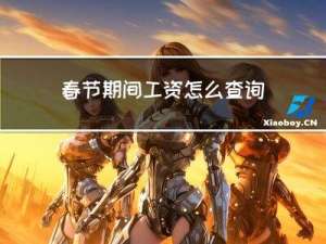 春节期间工资怎么查询