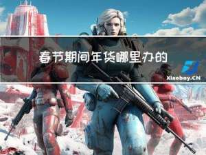 春节期间年货哪里办的