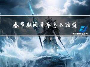 春节期间开车怎么防盗