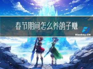 春节期间怎么养鸽子赚钱