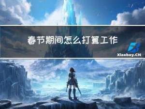 春节期间怎么打算工作