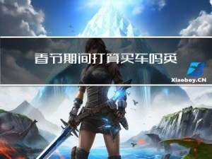 春节期间打算买车吗英文