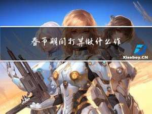春节期间打算做什么作文
