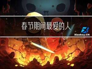 春节期间最爱的人