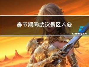 春节期间武汉景区人多吗