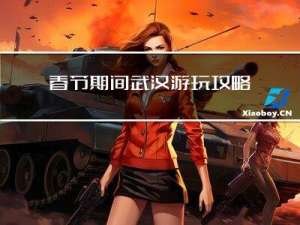 春节期间武汉游玩攻略作文