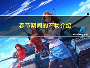 春节期间的产物介绍