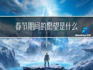 春节期间的愿望是什么作文