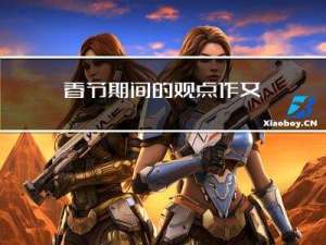 春节期间的观点作文