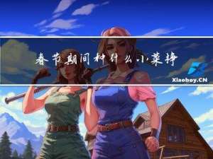春节期间种什么小菜挣钱