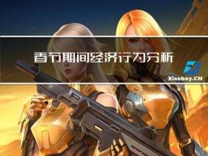 春节期间经济行为分析
