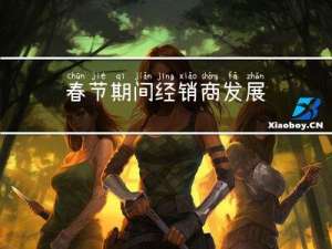 春节期间经销商发展