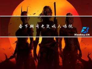 春节期间老鼠咬人吗视频
