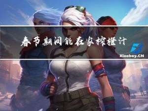 春节期间能在家榨橙汁吗