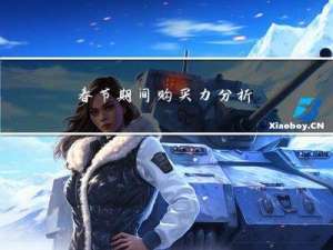 春节期间购买力分析