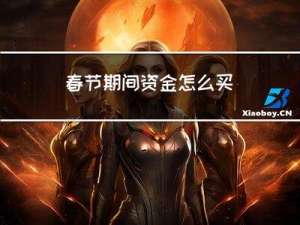 春节期间资金怎么买