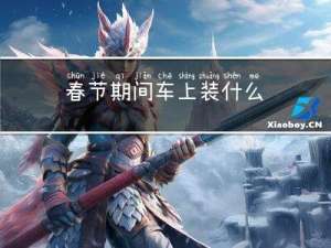 春节期间车上装什么