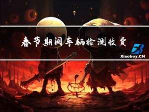 春节期间车辆检测收费吗
