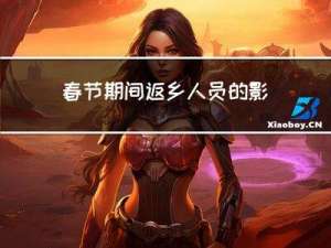 春节期间返乡人员的影响