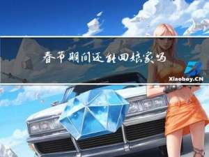 春节期间还能回娘家吗小说
