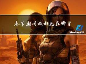 春节期间钱都花在哪里