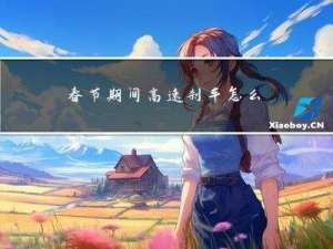 春节期间高速刹车怎么处罚