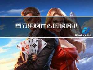 春节果树什么时候浇水