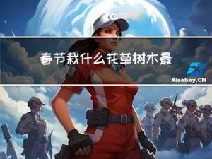 春节栽什么花草树木最好