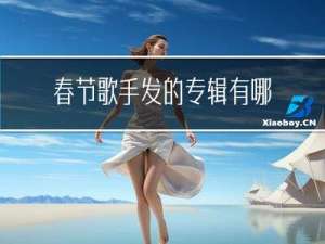 春节歌手发的专辑有哪些