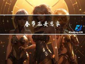 春节正是思家