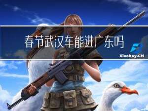 春节武汉车能进广东吗现在