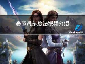 春节汽车总站视频介绍
