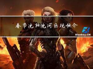 春节沈阳沈河区视频介绍