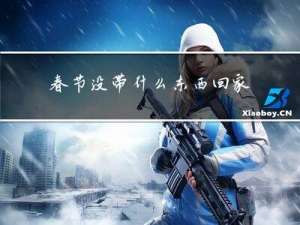 春节没带什么东西回家了