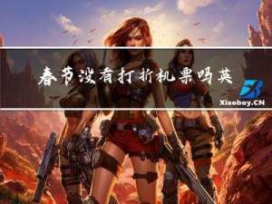 春节没有打折机票吗英文