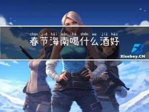 春节海南喝什么酒好