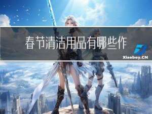 春节清洁用品有哪些作文