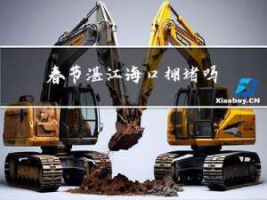 春节湛江海口拥堵吗