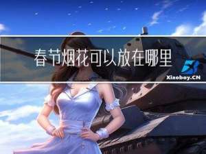 春节烟花可以放在哪里英语